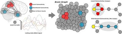 Cortical Networks of Creative Ability Trace Gene Expression Profiles of Synaptic Plasticity in the Human Brain